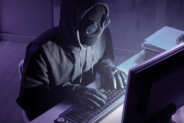 The 2017 Cybercrime Report