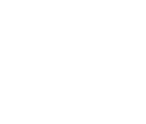 PCI Compliant Service Provider